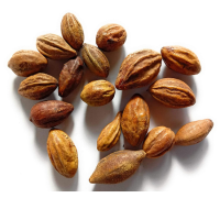 Haritaki (Terminalia Chebula) 